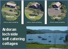 Three secluded chalets on the shores of Loch Feochan 