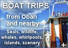 Boat Trips in and around Oban