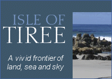 Tiree Community Website